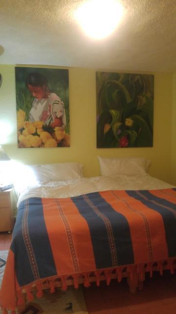 Casa Papaya San Miguel San Miguel de Allende Ngoại thất bức ảnh