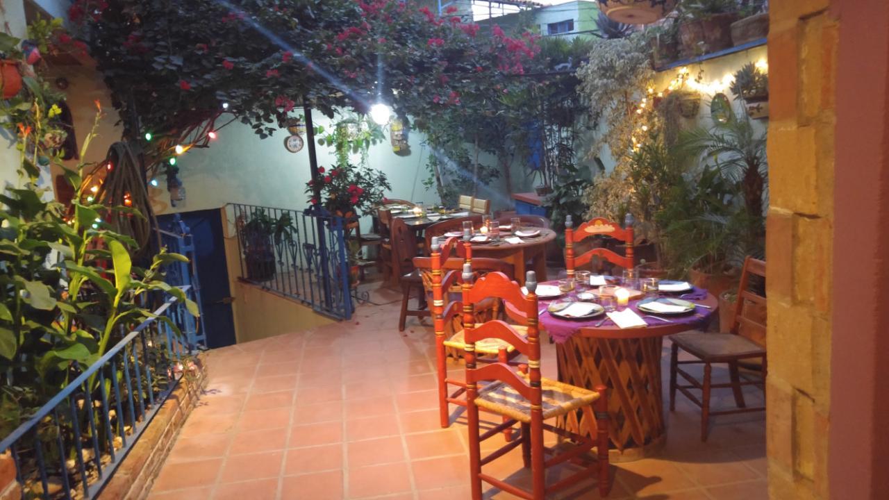 Casa Papaya San Miguel San Miguel de Allende Ngoại thất bức ảnh
